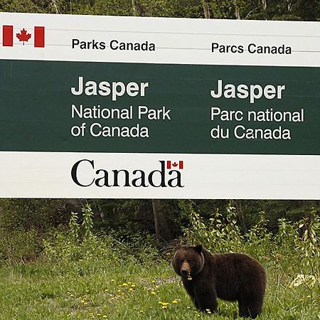 711 Miette Ave Jasper Bagian luar foto