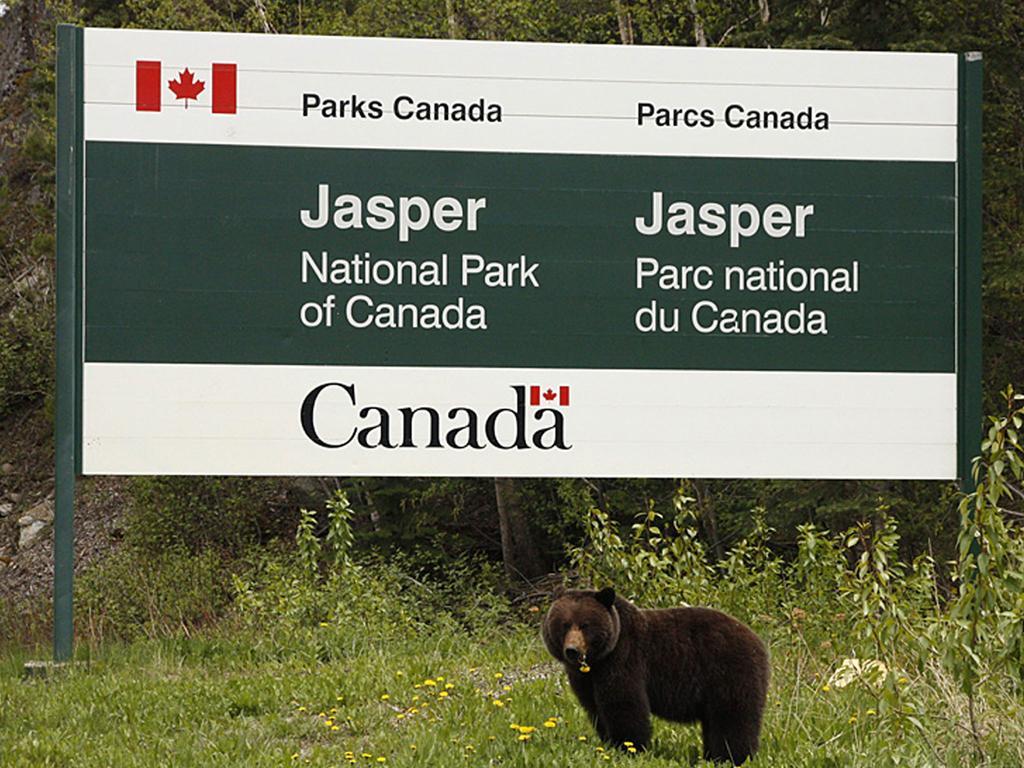 711 Miette Ave Jasper Bagian luar foto